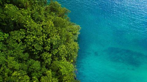 Manuel Antonio Costa Rica